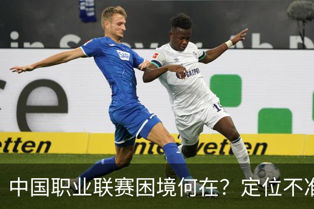 中国职业联赛困境何在？定位不准！理念错位！