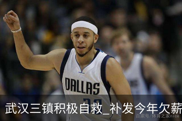 武汉三镇积极自救 补发今年欠薪 准入大概率会解决